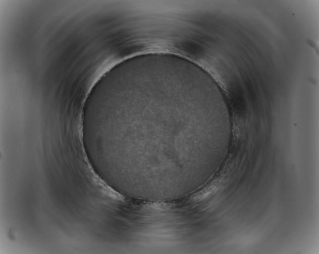 X0000097600950200802291240