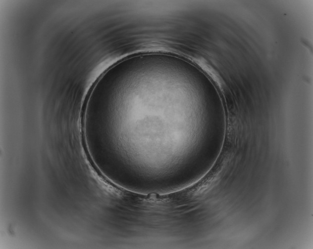 X0000097600951200802291240