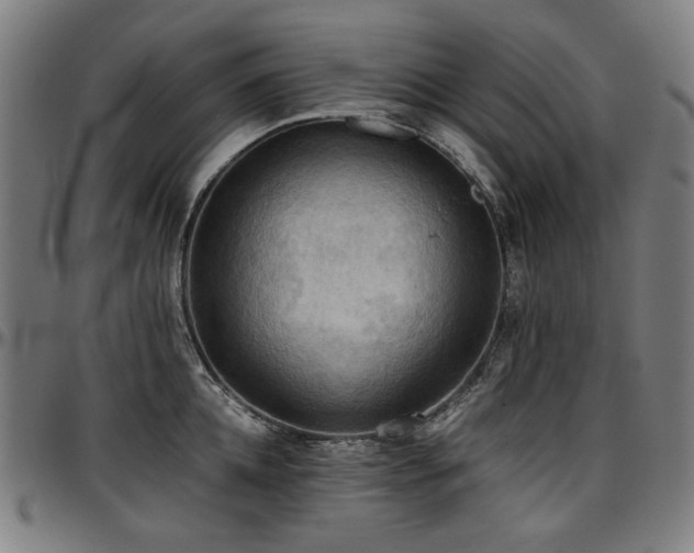 X0000097600952200802291240