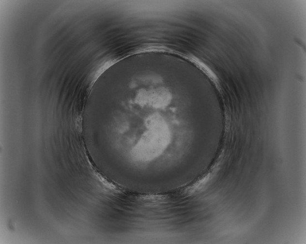 X0000097600953200802291240
