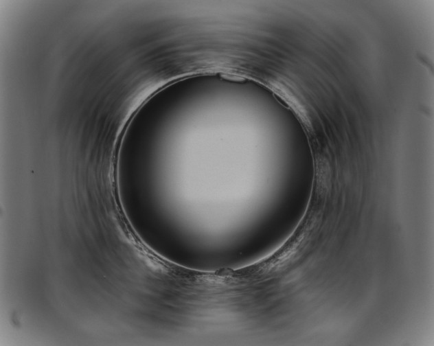 X0000097600956200802291240