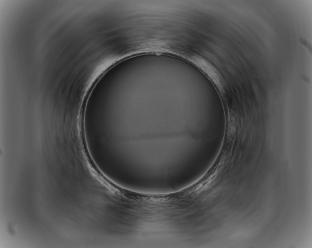 X0000097600958200802291240