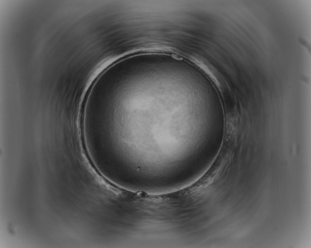 X0000097600959200802291240