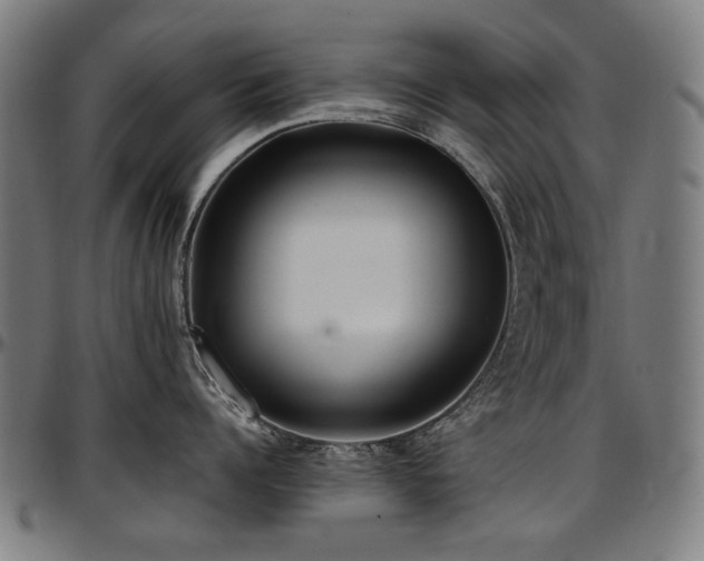 X0000097600960200802291240