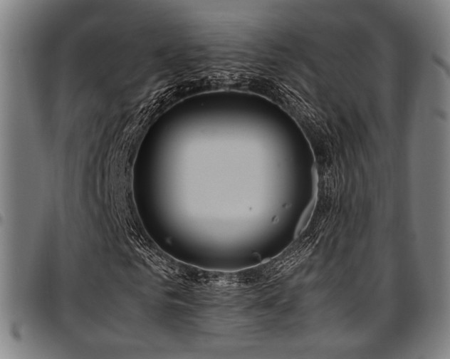 X0000097600961200802291239