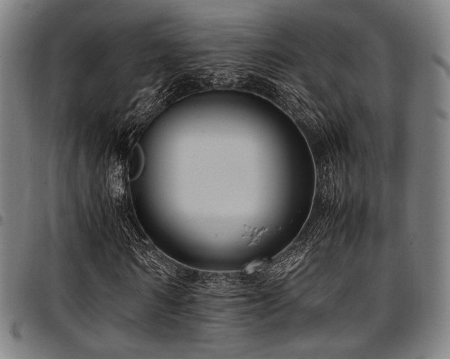X0000097600962200802291239