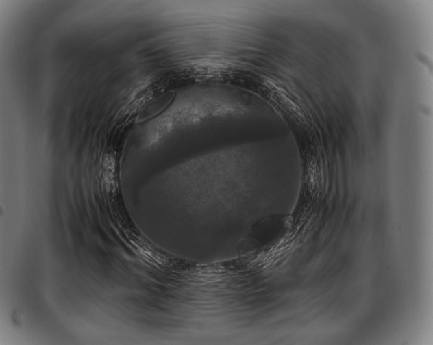 X0000097600964200802291239