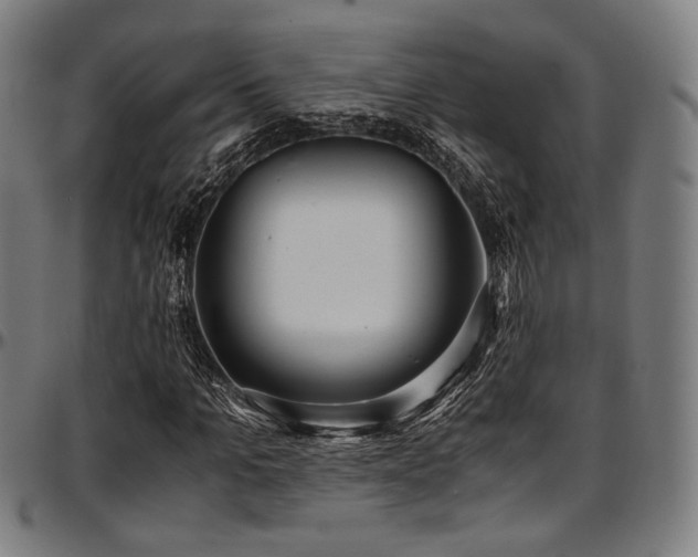 X0000097600965200802291239