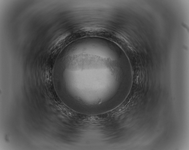 X0000097600966200802291239