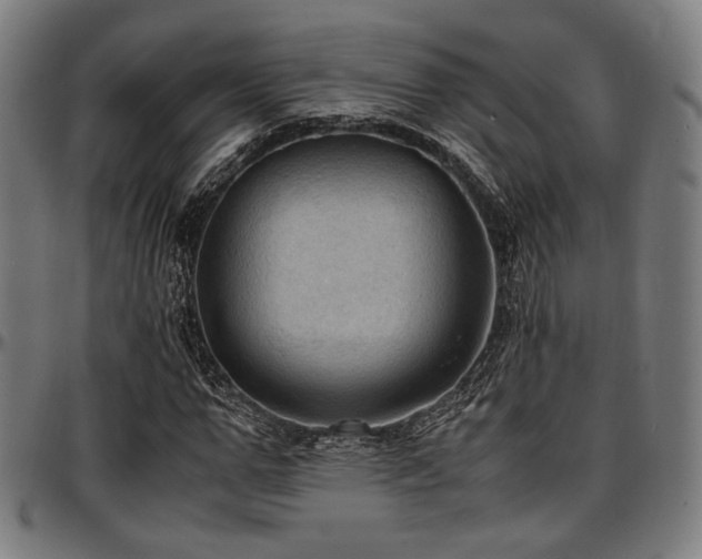 X0000097600967200802291239