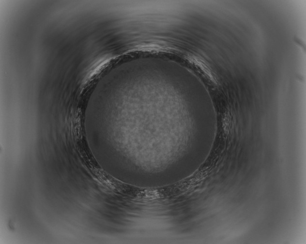 X0000097600968200802291239