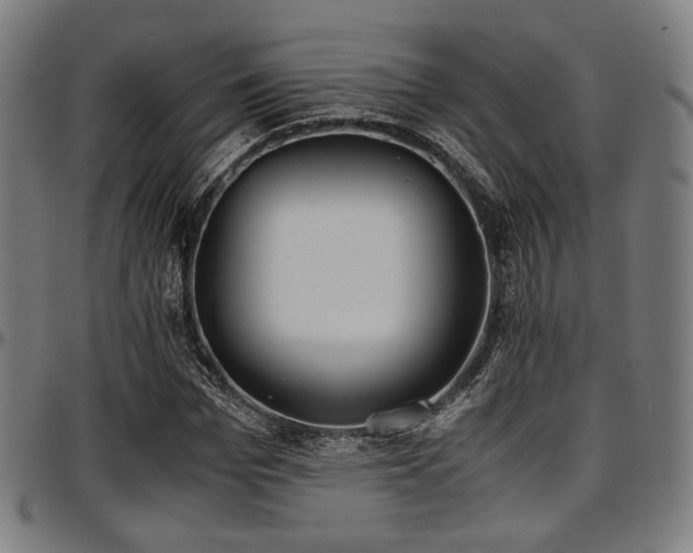 X0000097600969200802291239