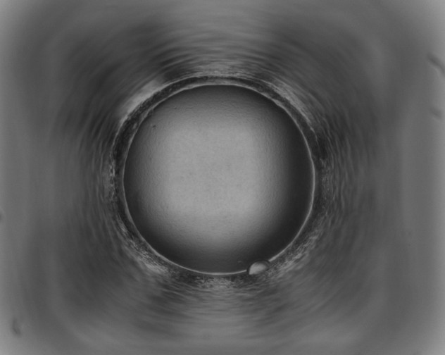 X0000097600971200802291239