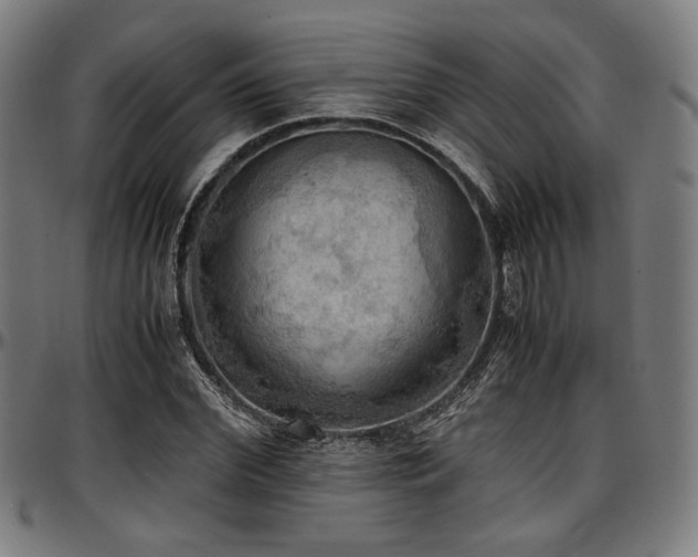 X0000097600972200802291239
