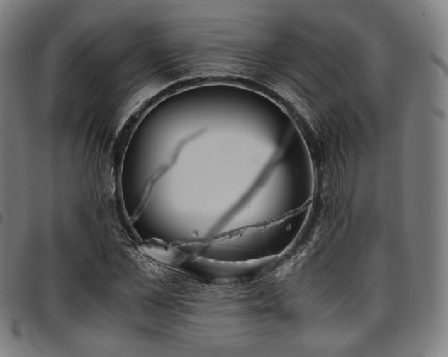 X0000097600973200802291239