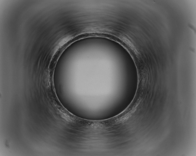 X0000097600974200802291239