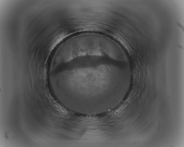 X0000097600975200802291239