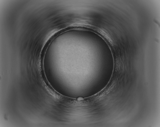 X0000097600976200802291239