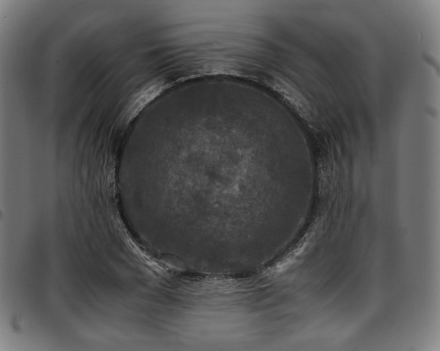 X0000097600977200802291239