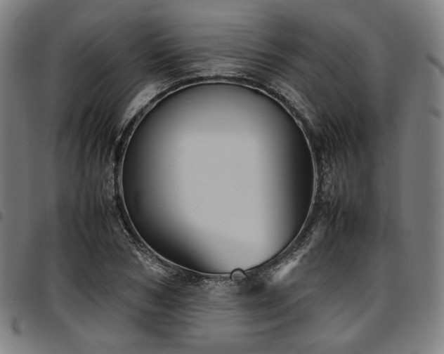 X0000097600978200802291239