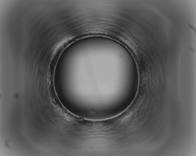 X0000097600979200802291239
