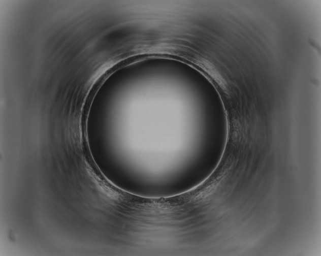 X0000097600980200802291239