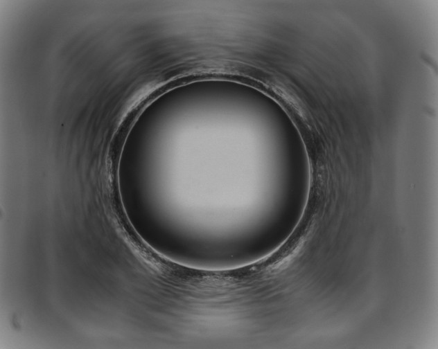 X0000097600981200802291239