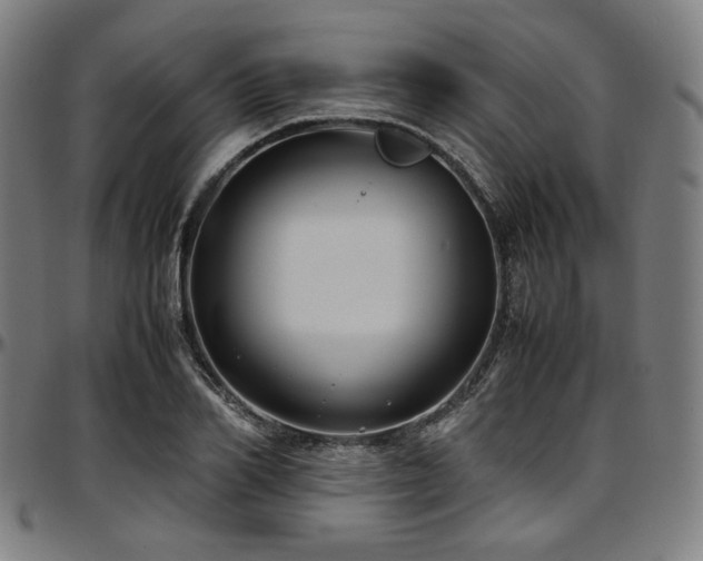 X0000097600982200802291239