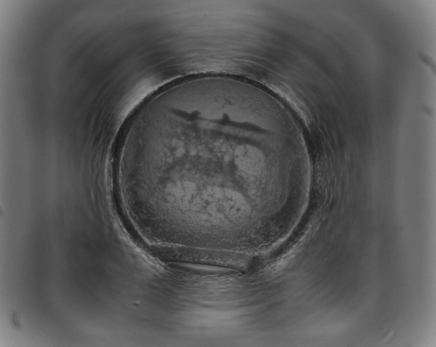 X0000097600983200802291239