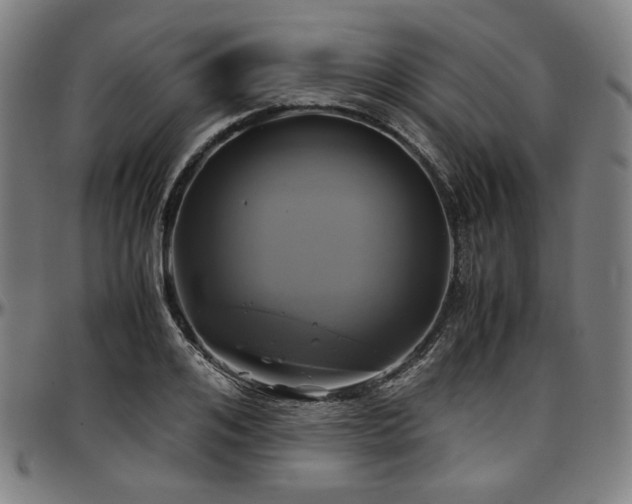 X0000097600984200802291239