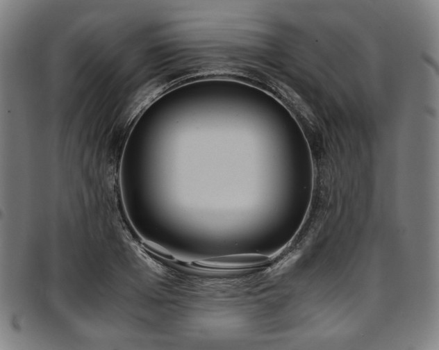 X0000097600985200802291239