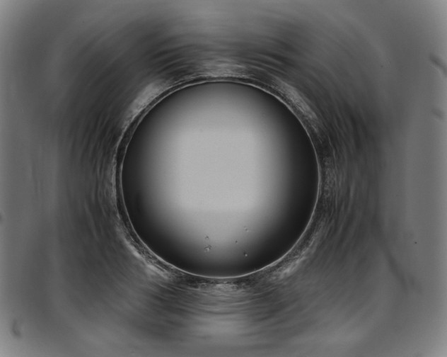 X0000097600986200802291239