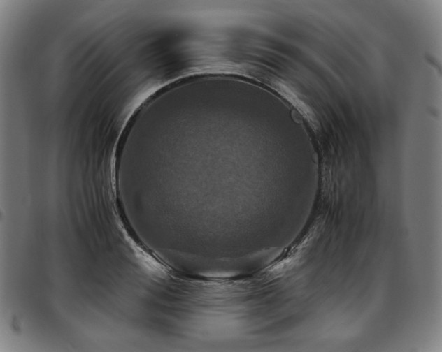 X0000097600988200802291239