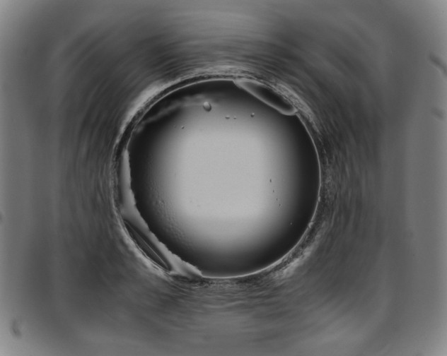 X0000097600989200802291239