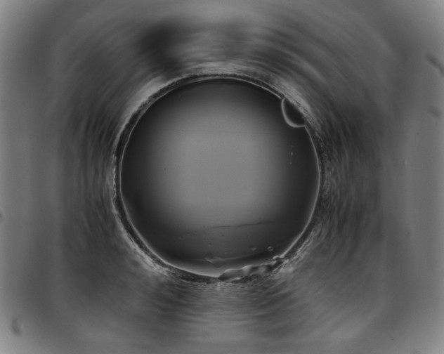 X0000097600992200802291239