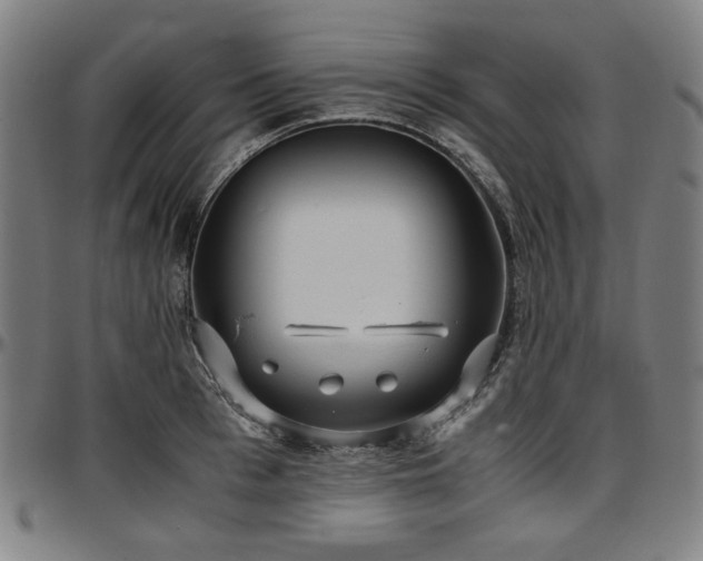 X0000097600993200802291239
