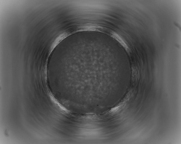 X0000097600994200802291239