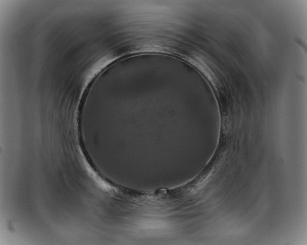 X0000097600995200802291239