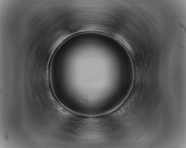 X0000097600996200802291239