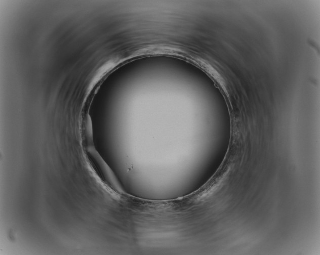 X0000097600997200802291239