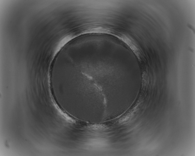 X0000097600998200802291239