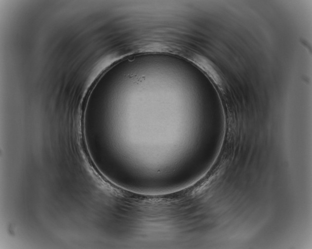 X0000097601000200802291239
