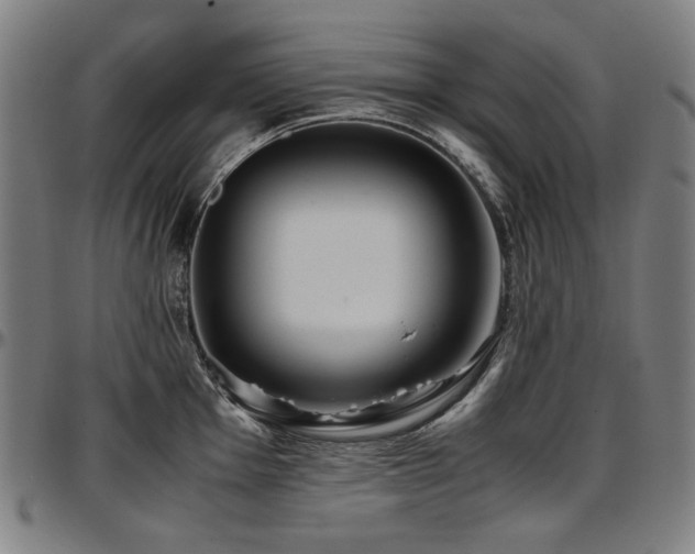 X0000097601001200802291239
