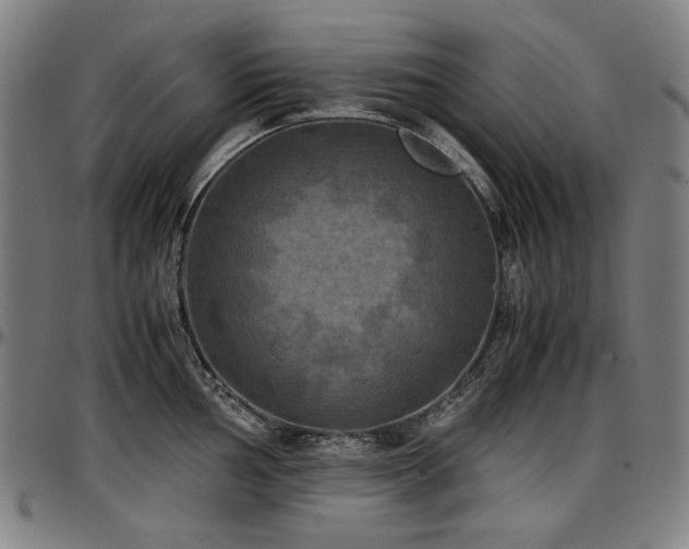 X0000097601002200802291239