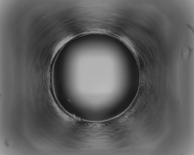 X0000097601003200802291239