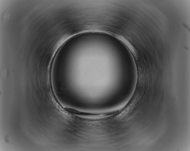 X0000097601004200802291239