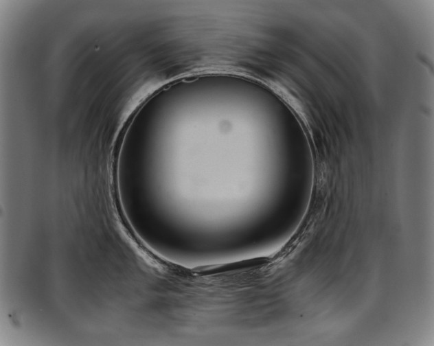 X0000097601005200802291239