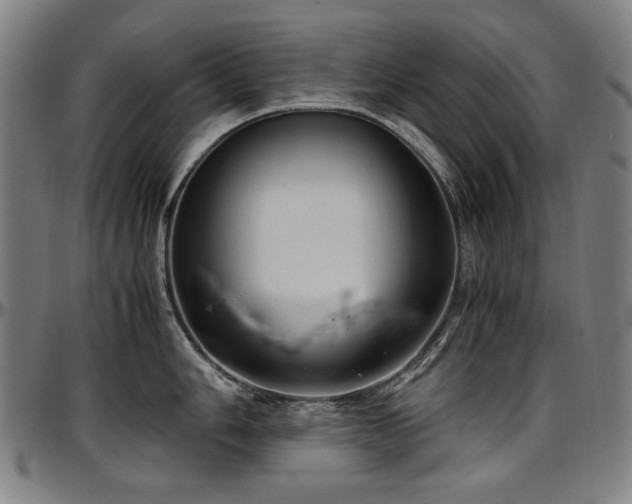 X0000097601006200802291239