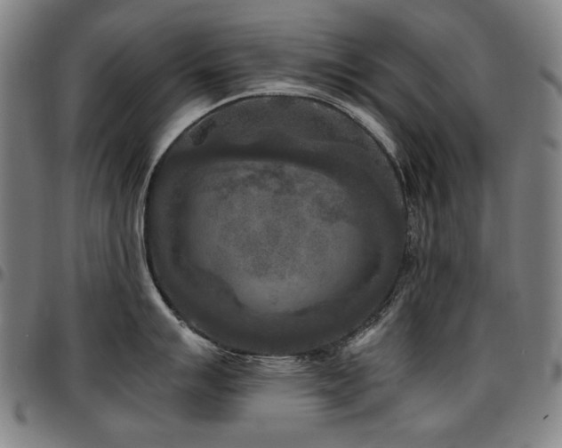 X0000097601007200802291239