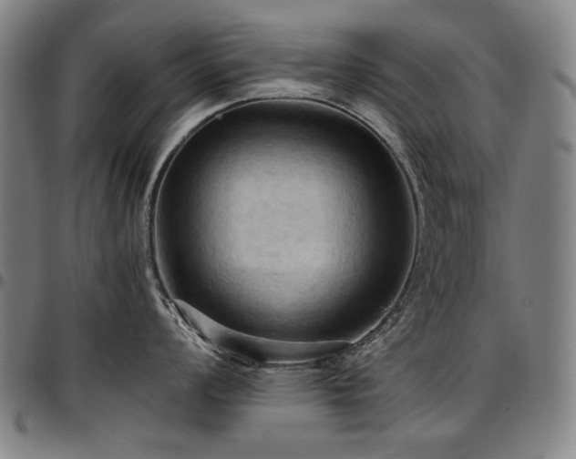 X0000097601008200802291239
